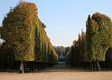 Wien (259)